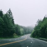 black asphalt road in between trees with foggy weather