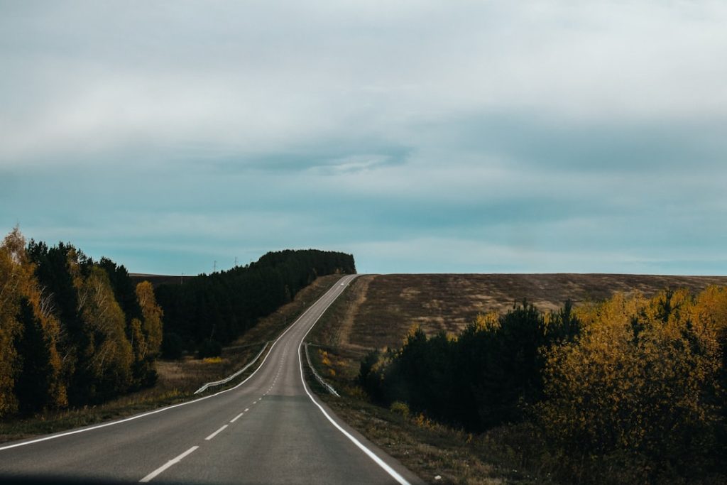 a long road with trees on both sides of it