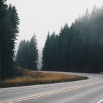 panoramic photography of winding road with inline trees