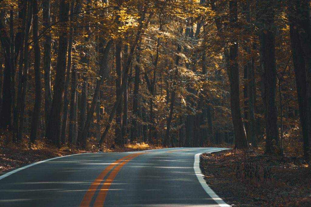 winding road through autumn forest