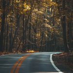 Volkswagen Tambem Quer Reduzir Modelos A Grande Faxina Das Montadoras No Mercado Global winding road through autumn forest